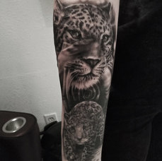 leopard+ipad.jpg