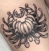 IMG_6567.jpg